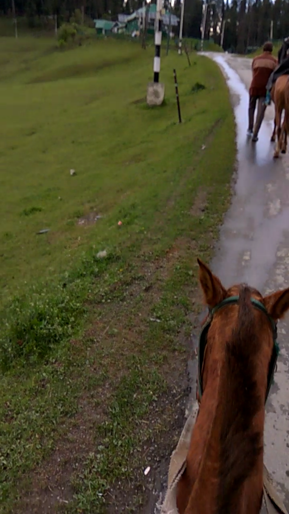 Photo of Gulmarg : Where diazepam runs in the air by Saloni G