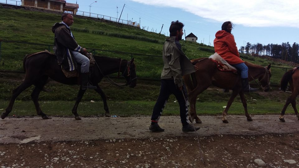 Photo of Gulmarg : Where diazepam runs in the air by Saloni Goyal