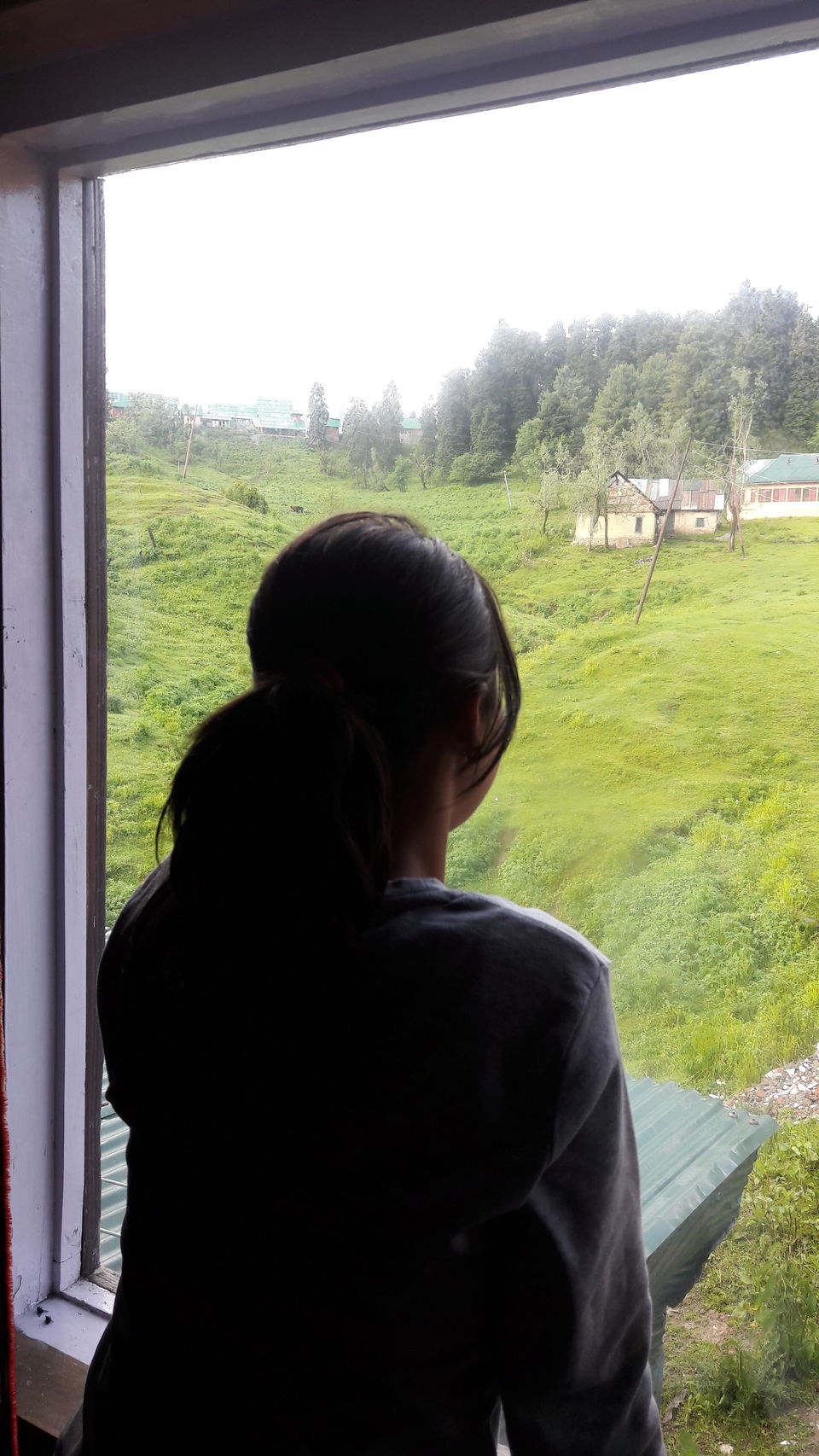 Photo of Gulmarg : Where diazepam runs in the air by Saloni Goyal