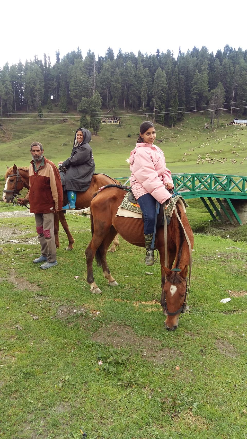 Photo of Gulmarg : Where diazepam runs in the air by Saloni Goyal