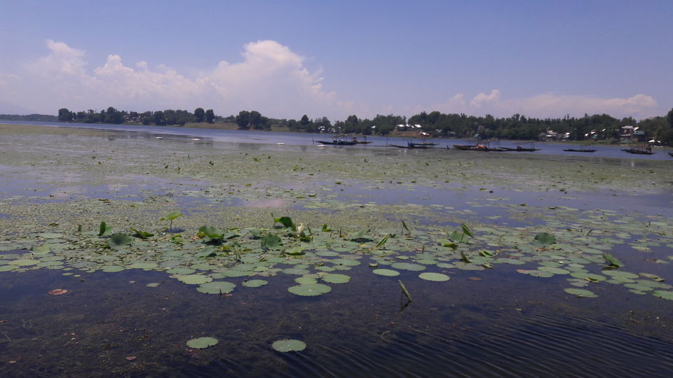 Photo of Manasbal lake | Kheer Bhawani temple by Saloni Goyal