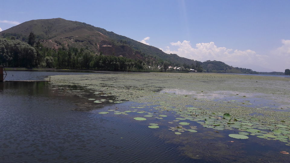 Photo of Manasbal lake | Kheer Bhawani temple by Saloni Goyal