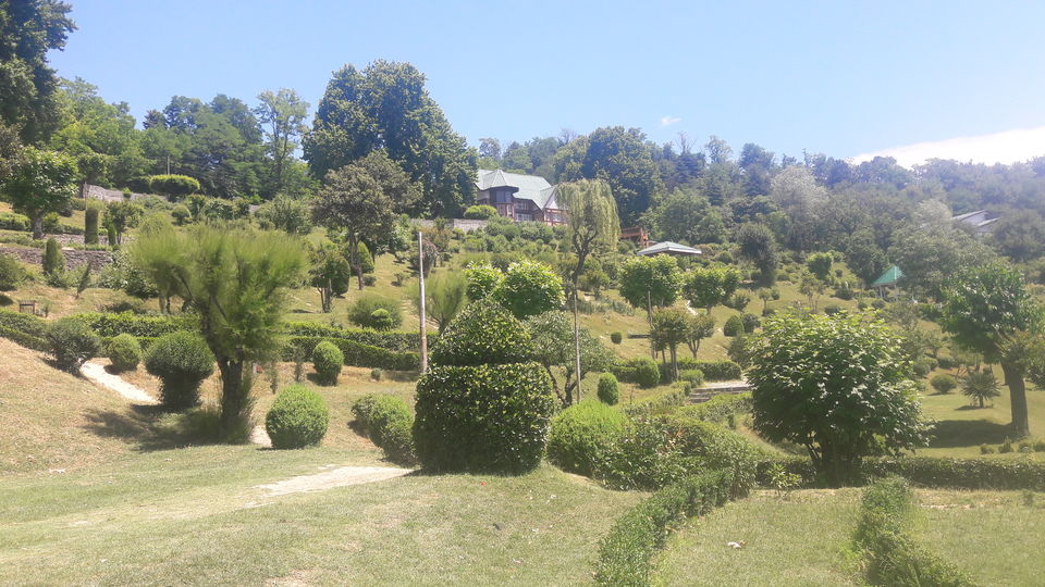 Photo of Manasbal lake | Kheer Bhawani temple by Saloni Goyal