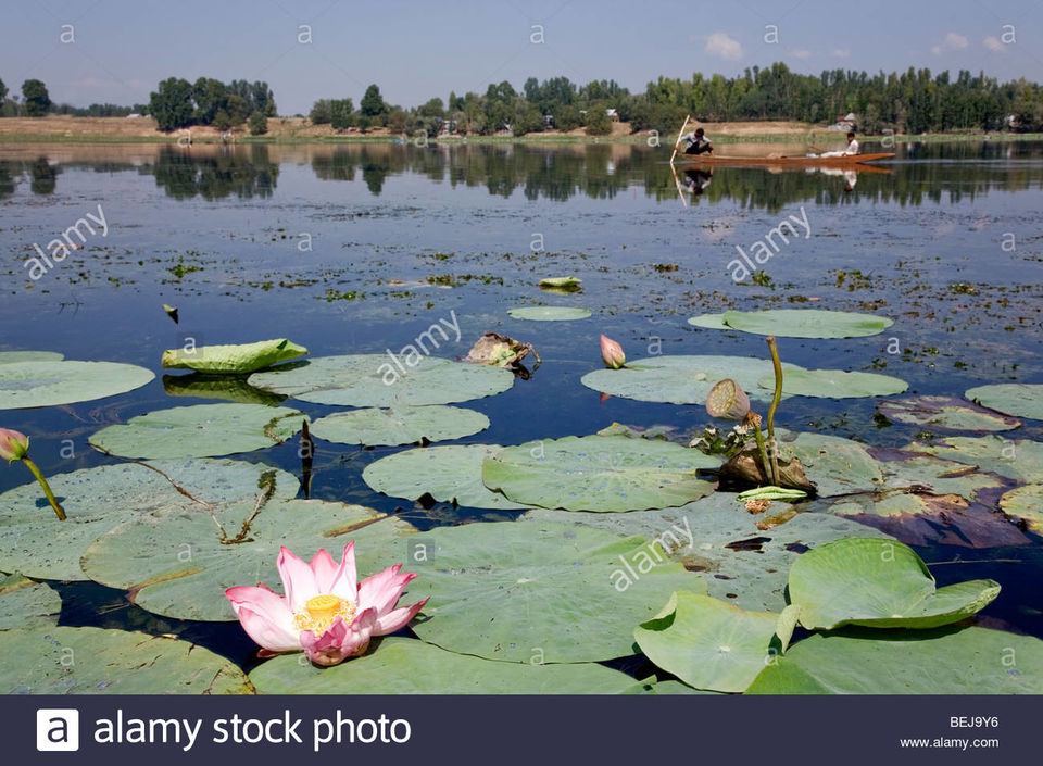 Photo of Manasbal lake | Kheer Bhawani temple by Saloni Goyal