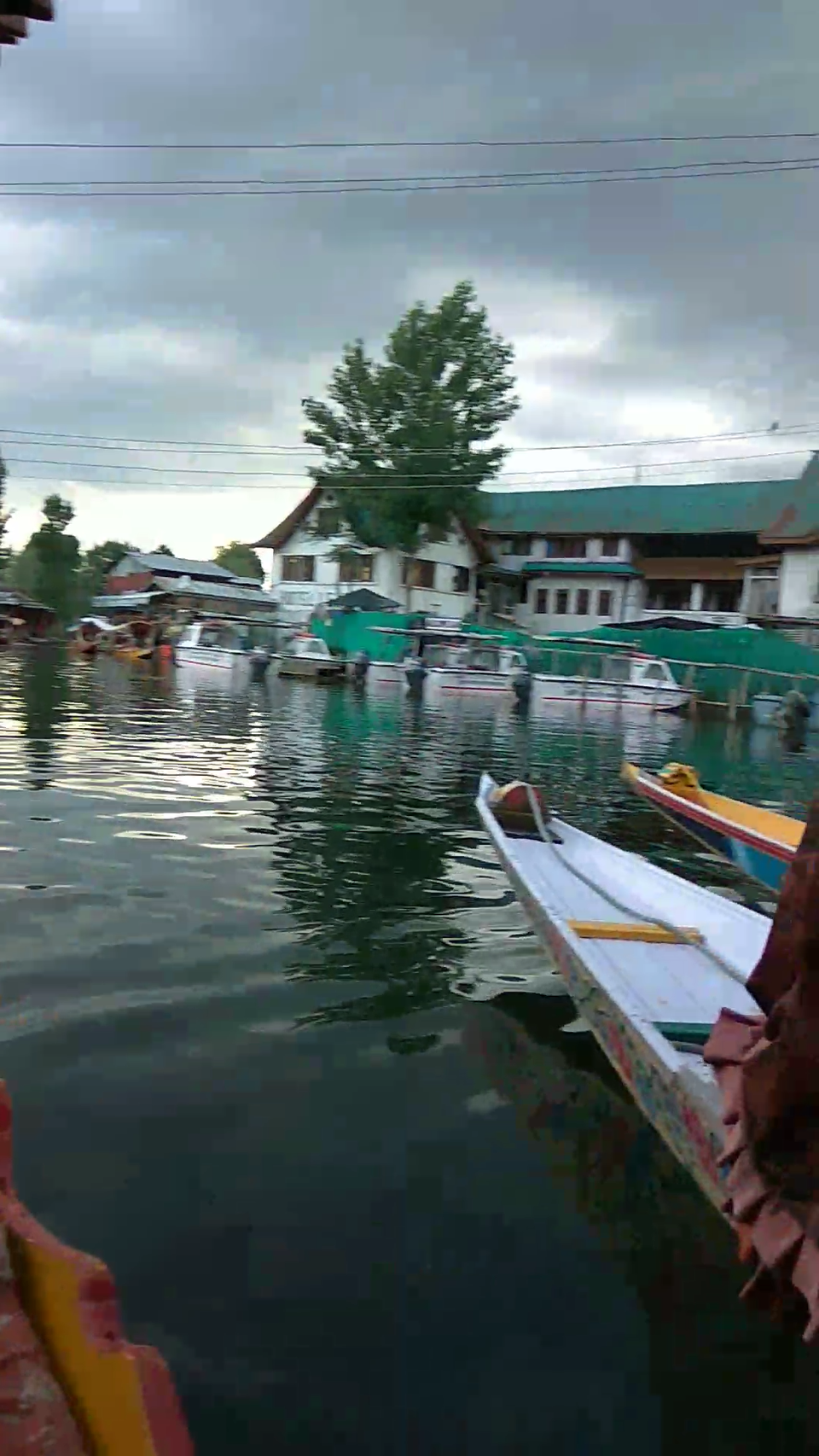 Photo of Kashmir Guide : Part 5 Dal lake - An Isolated Stretch From The Main Town by Saloni G