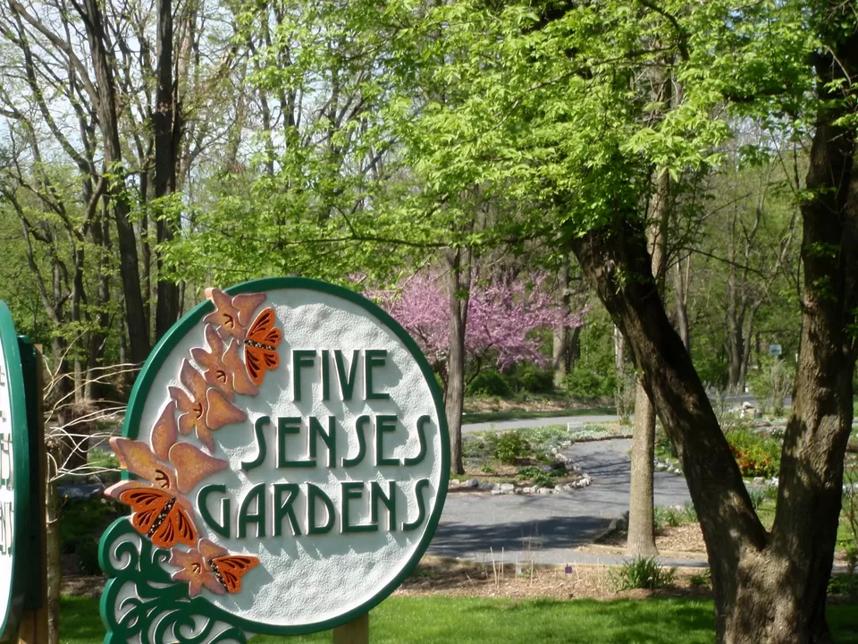 Photo of The Garden of Five Senses, New Delhi, Delhi, India by Saloni G