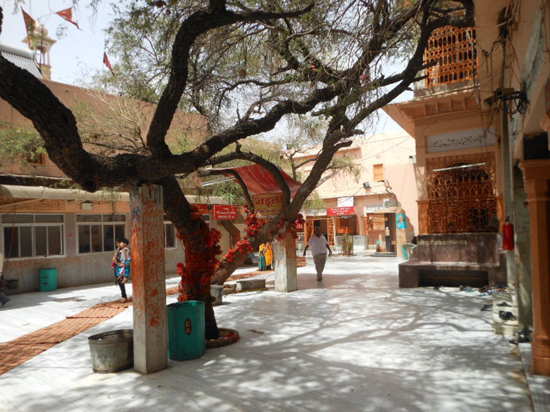 Photo of Salasar - Part 2 by Saloni Goyal