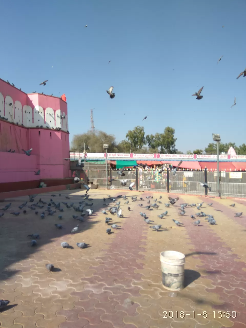 Photo of Karni Mata Temple, Cantonment, Bikaner, Rajasthan, India by Saloni G