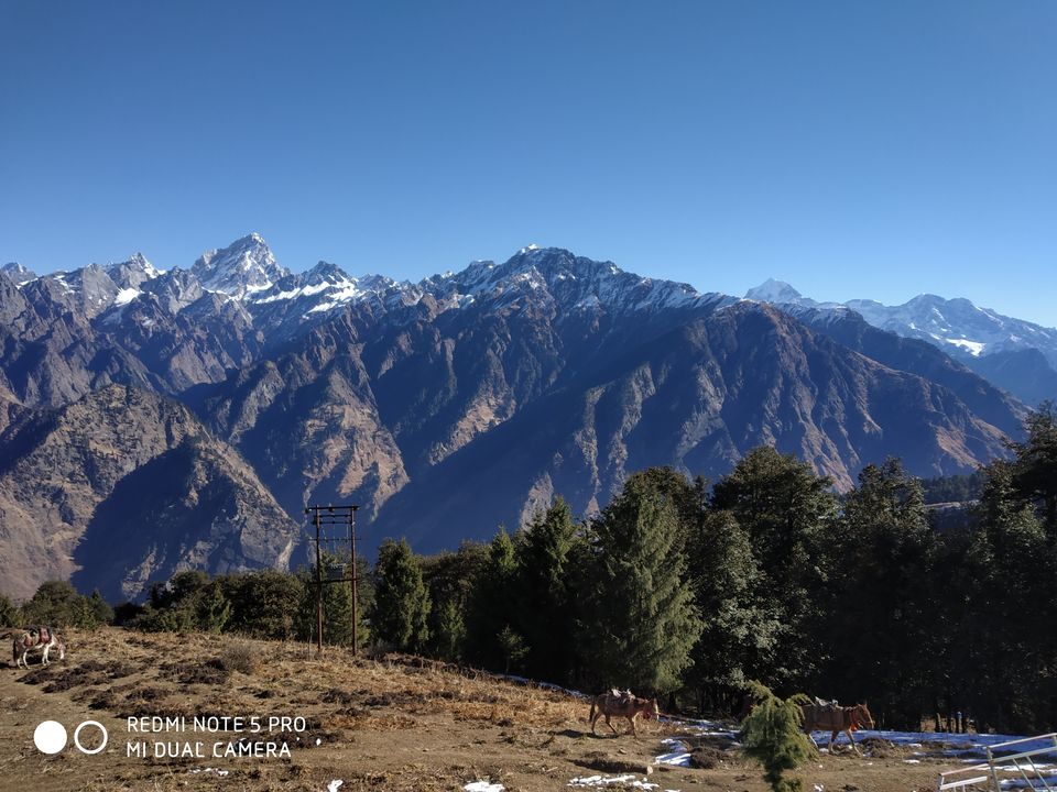 Photo of Perfect cure for January blues - Auli #offbeatuttarakhand by Saloni Goyal