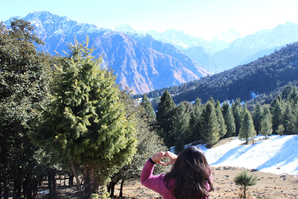 Photo of Perfect cure for January blues - Auli #offbeatuttarakhand by Saloni Goyal