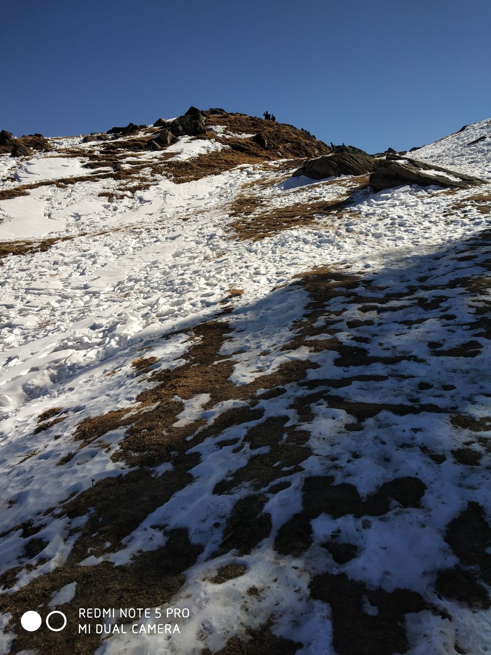 Photo of Perfect cure for January blues - Auli #offbeatuttarakhand by Saloni Goyal