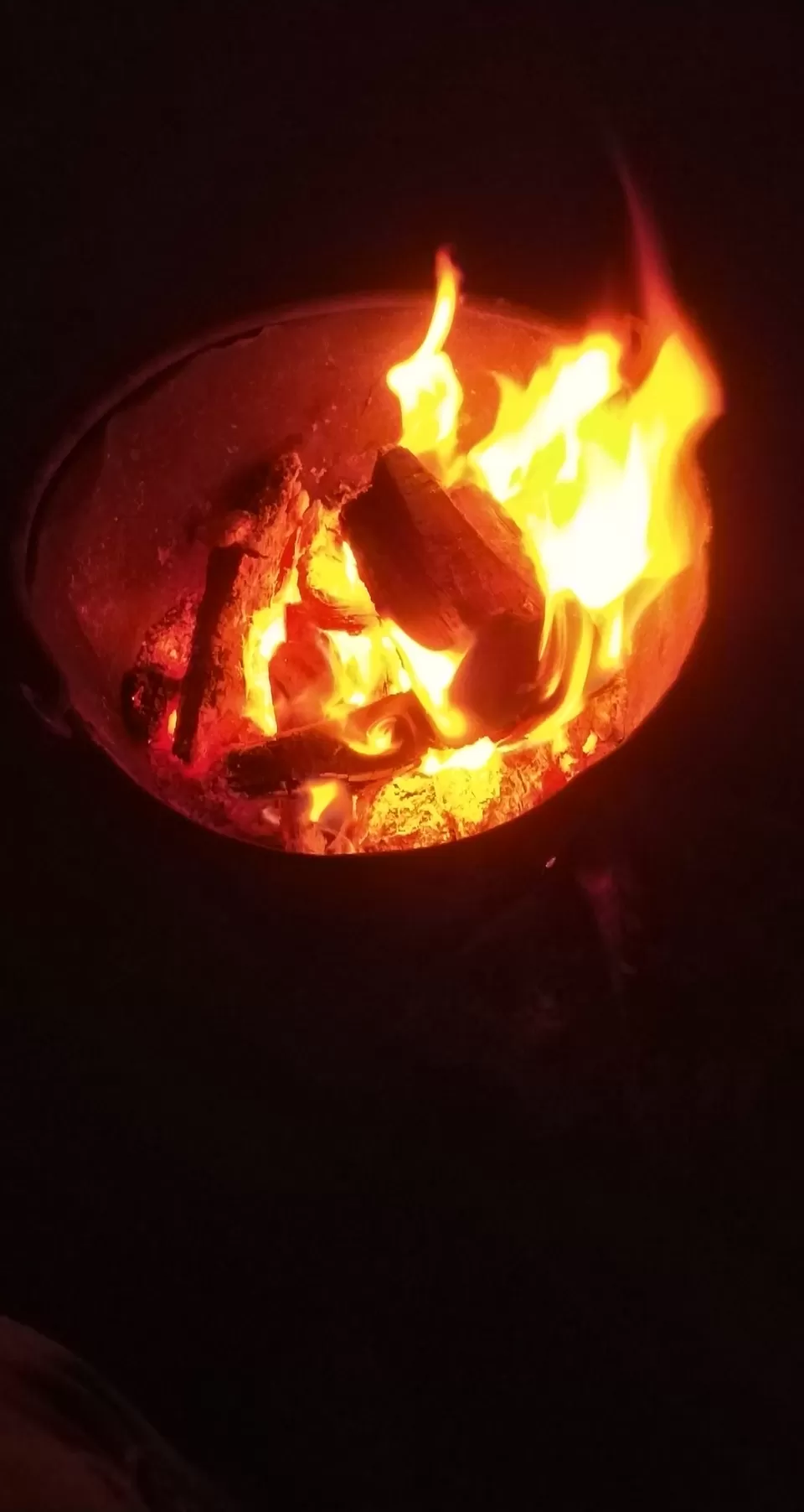 Photo of Joshimath, Uttarakhand, India by Saloni G