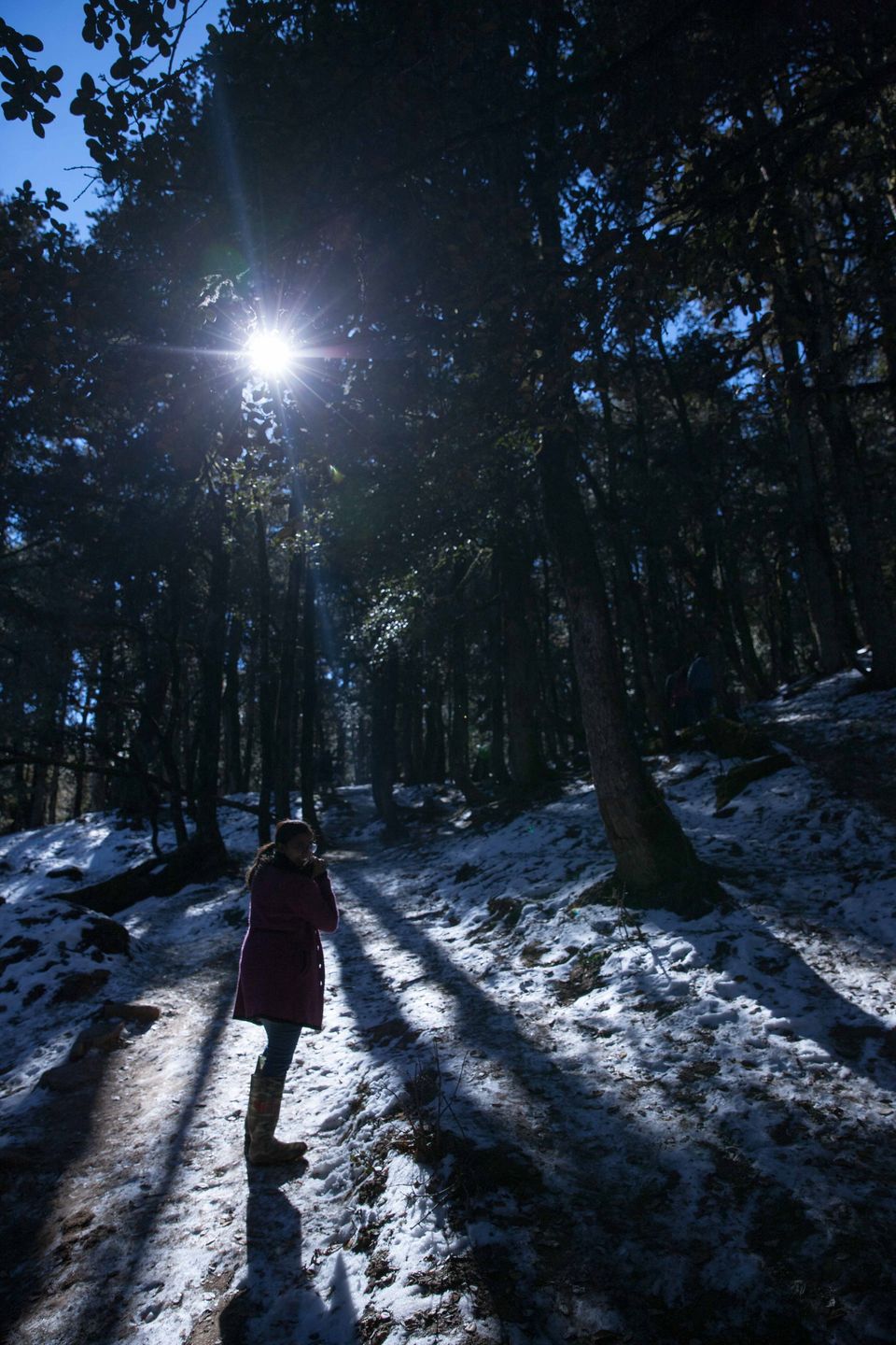 Photo of Perfect cure for January blues - Auli #offbeatuttarakhand by Saloni Goyal