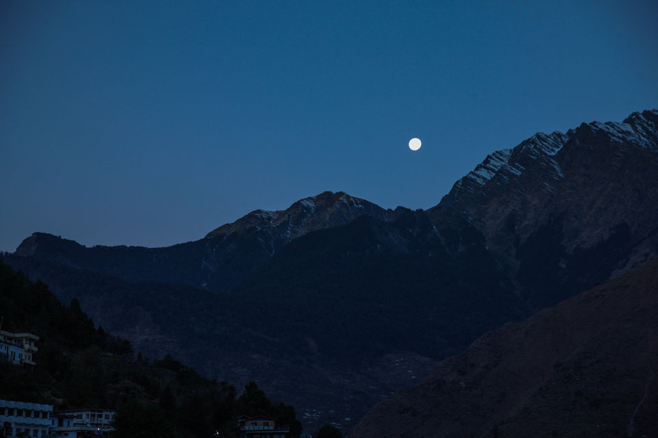 Photo of Perfect cure for January blues - Auli #offbeatuttarakhand by Saloni Goyal