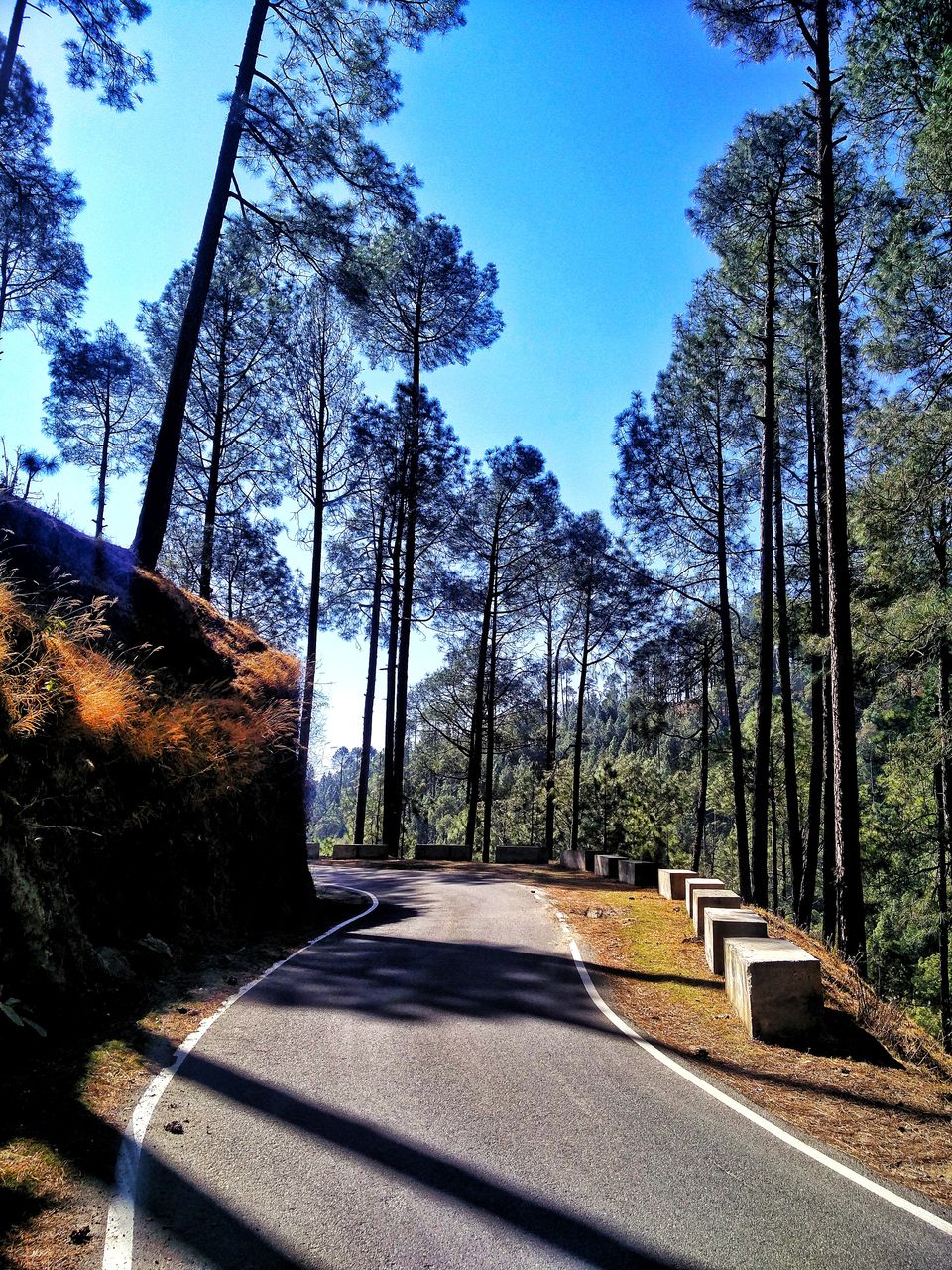 Photo of Dehradun, Uttarakhand, India by Shashank Anand