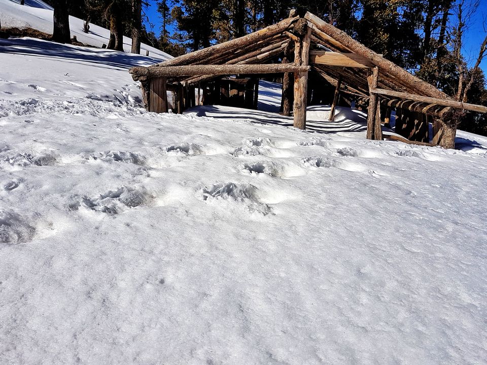 Photo of Kedarkantha - The lesser known Shiva shrine by Shashank Anand