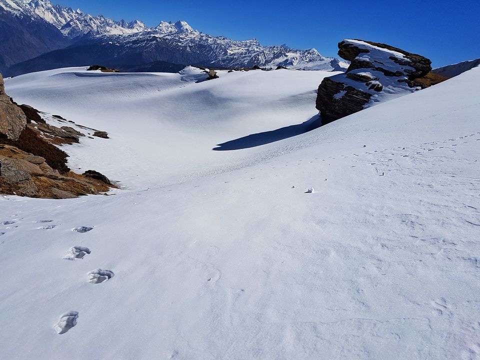 Photo of Kedarkantha - The lesser known Shiva shrine by Shashank Anand