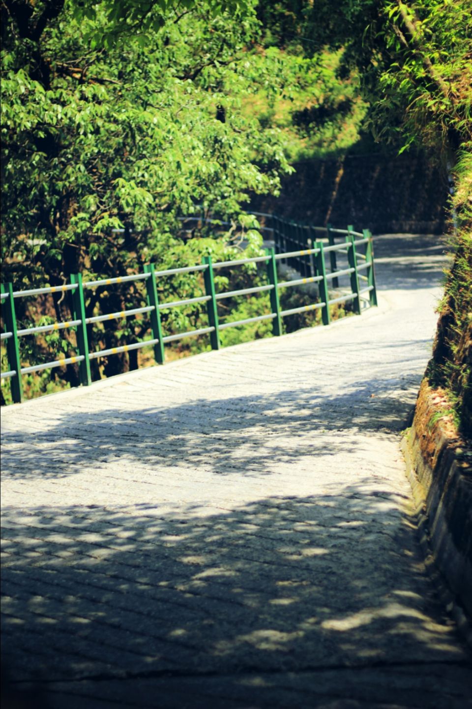 Photo of Life of mussoorie by Sonu Verma