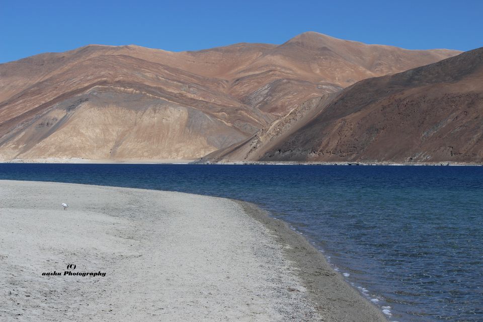 Photo of Chasing the dreams in the land of Monks- Ladakh ( A Road of 11 Dangerous passes) 39/62 by Ashutosh Shrivastava