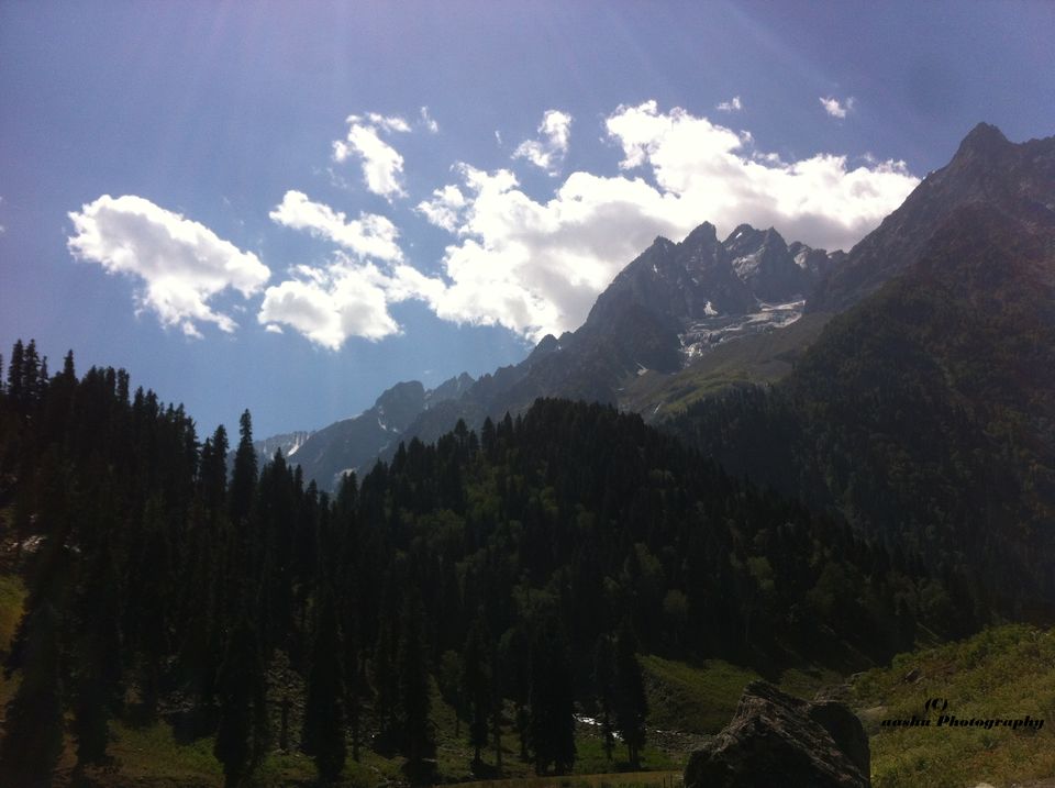 Photo of Chasing the dreams in the land of Monks- Ladakh ( A Road of 11 Dangerous passes) 57/62 by Ashutosh Shrivastava