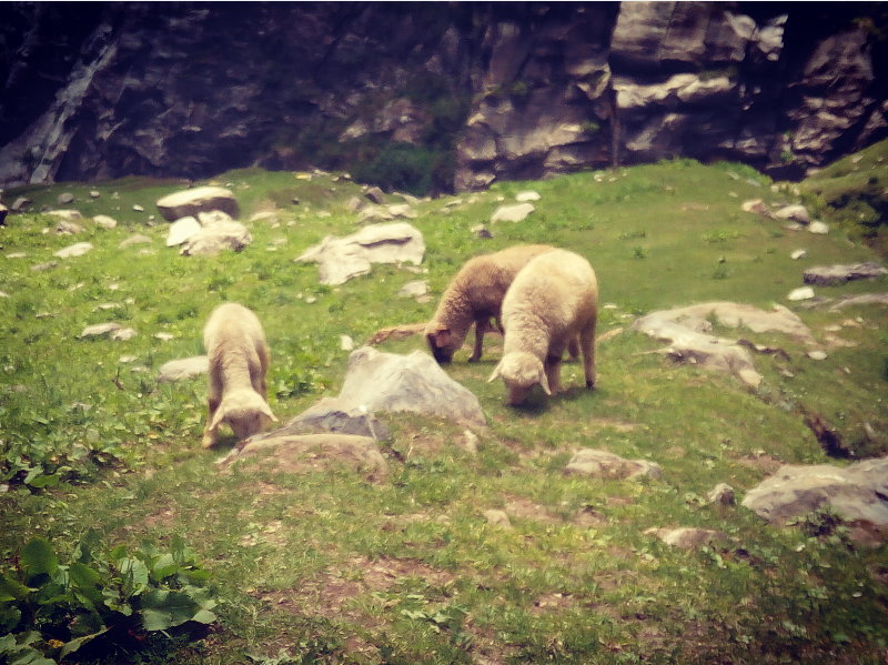Photo of Secrets Of Manali 5/22 by Devanshi Srivastava