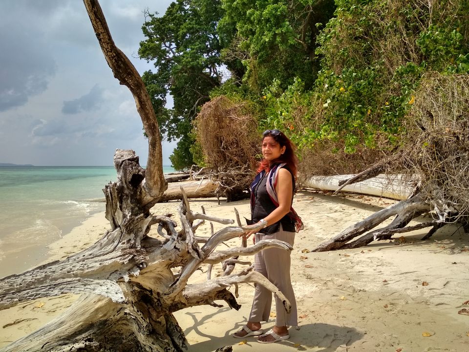Photo of Wandur RV, Andaman and Nicobar Islands, India by Devanshi Srivastava
