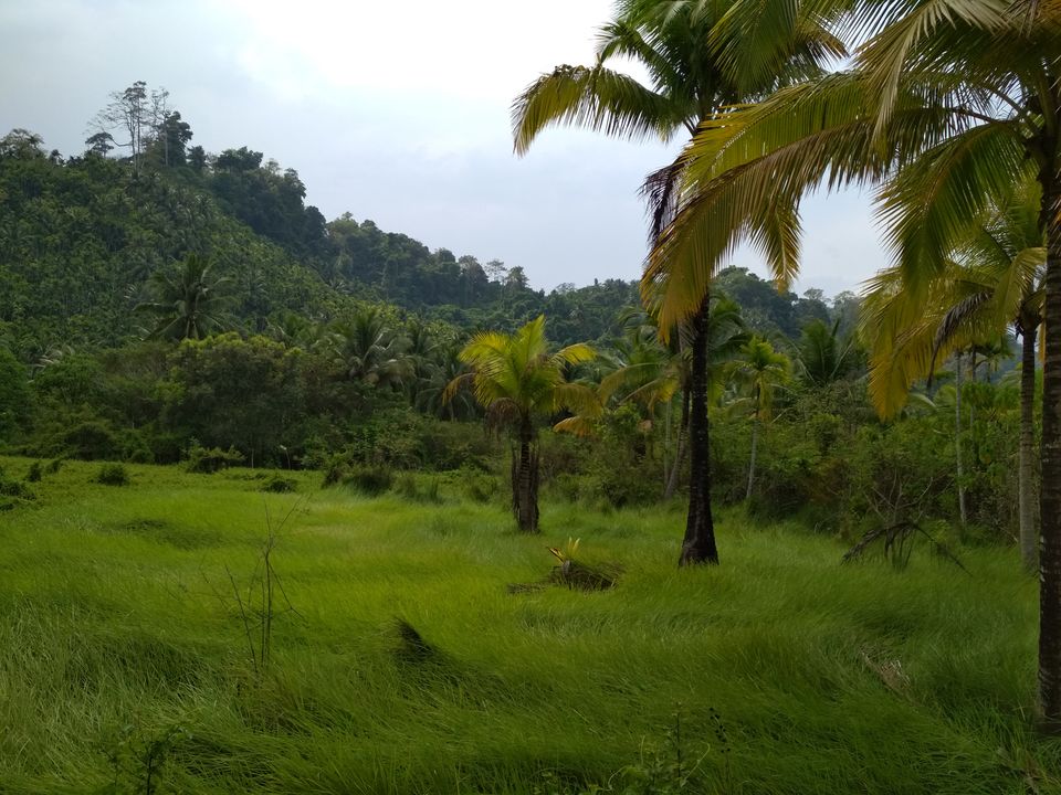 Photo of Amazing Andamans!! by Devanshi Srivastava