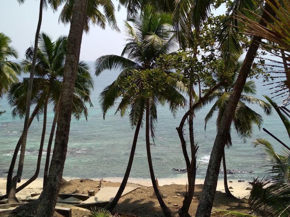Photo of Amazing Andamans!! by Devanshi Srivastava