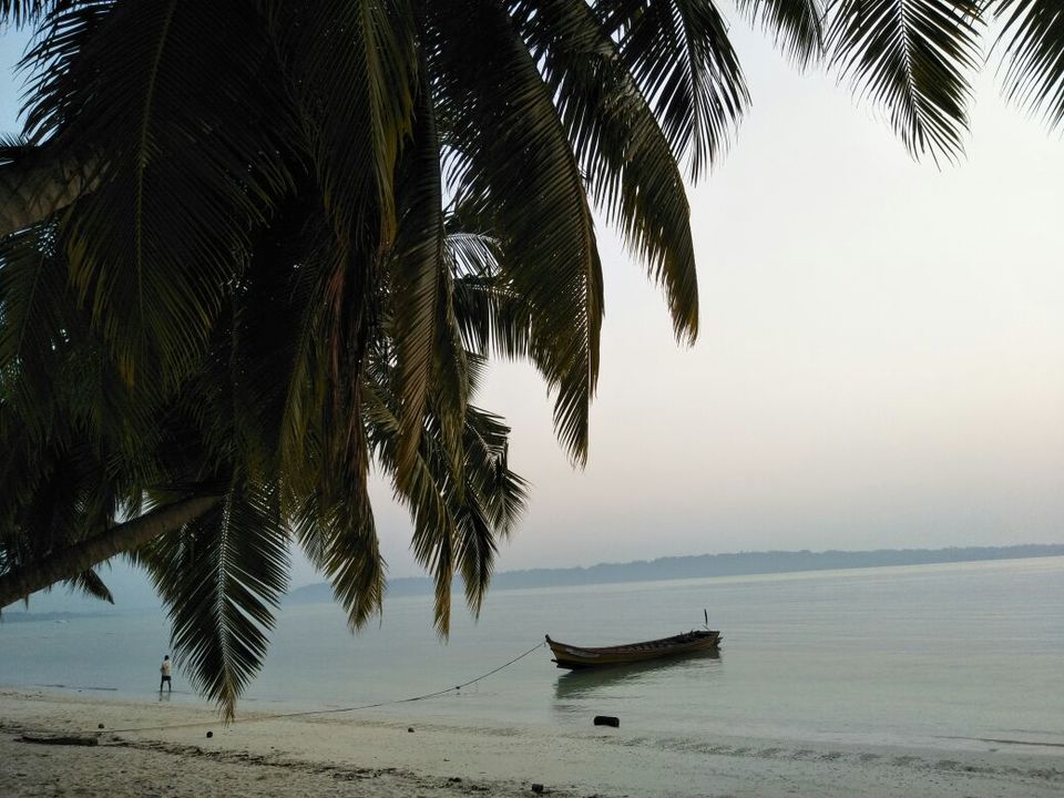 Photo of Amazing Andamans!! by Devanshi Srivastava