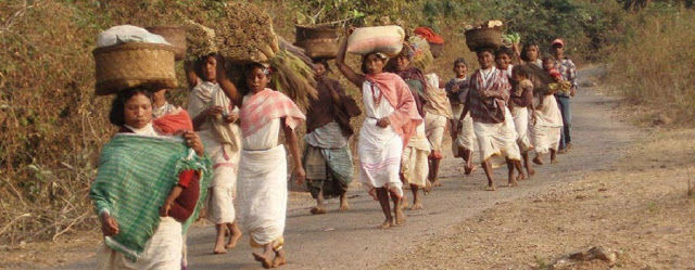 Photo of Tribal Wonders of Odisha 08 Days 1/2 by PURI (ODISHA)