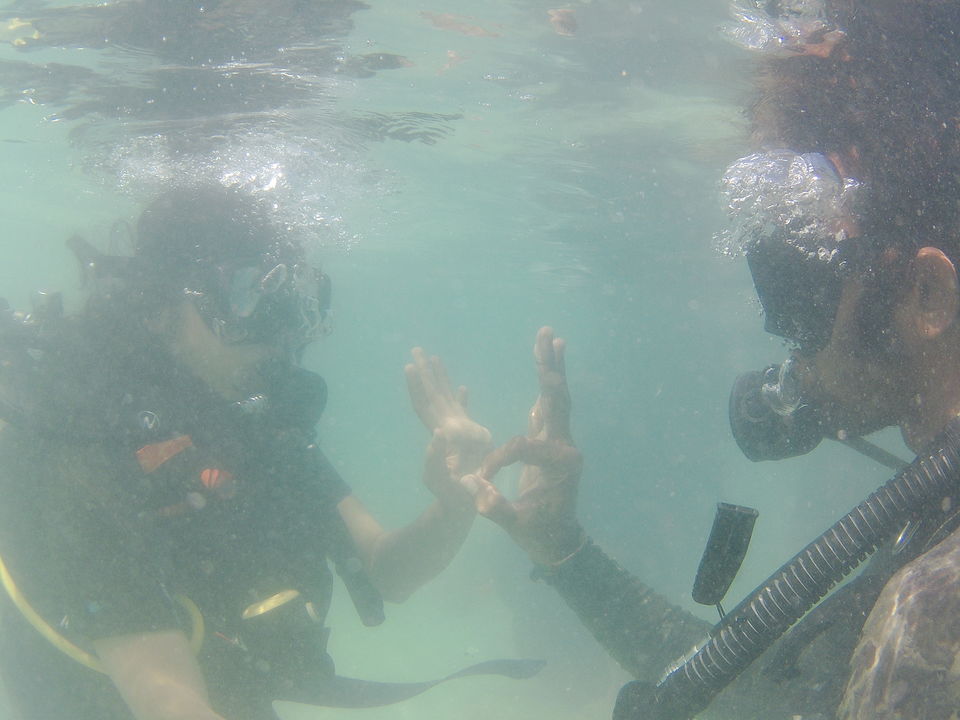 Photo of Scuba Diving at Havelock! #BestDive #AdventureActivity #ParadiseFound by Vaibhavi Haria