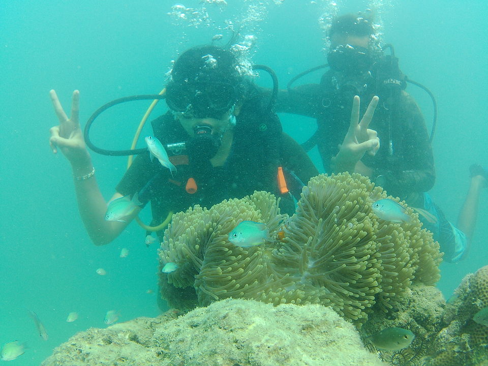 Photo of Scuba Diving at Havelock! #BestDive #AdventureActivity #ParadiseFound by Vaibhavi Haria