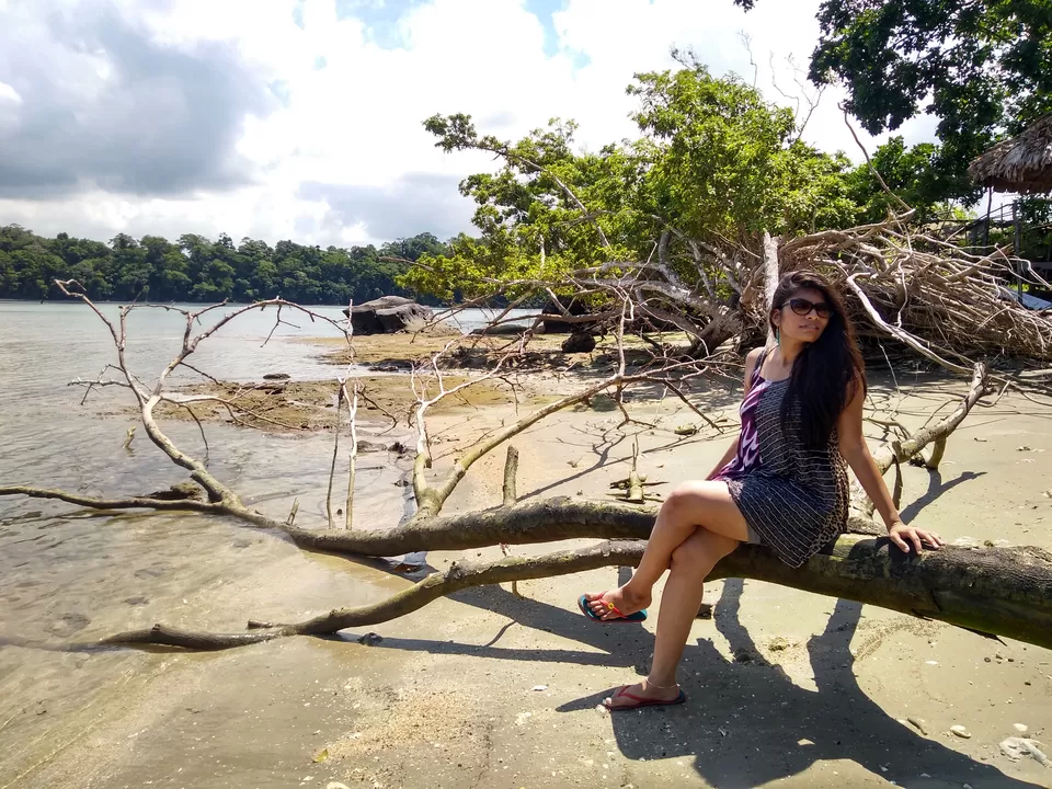 Photo of Red Skin Island, Andaman and Nicobar Islands by Vaibhavi Haria