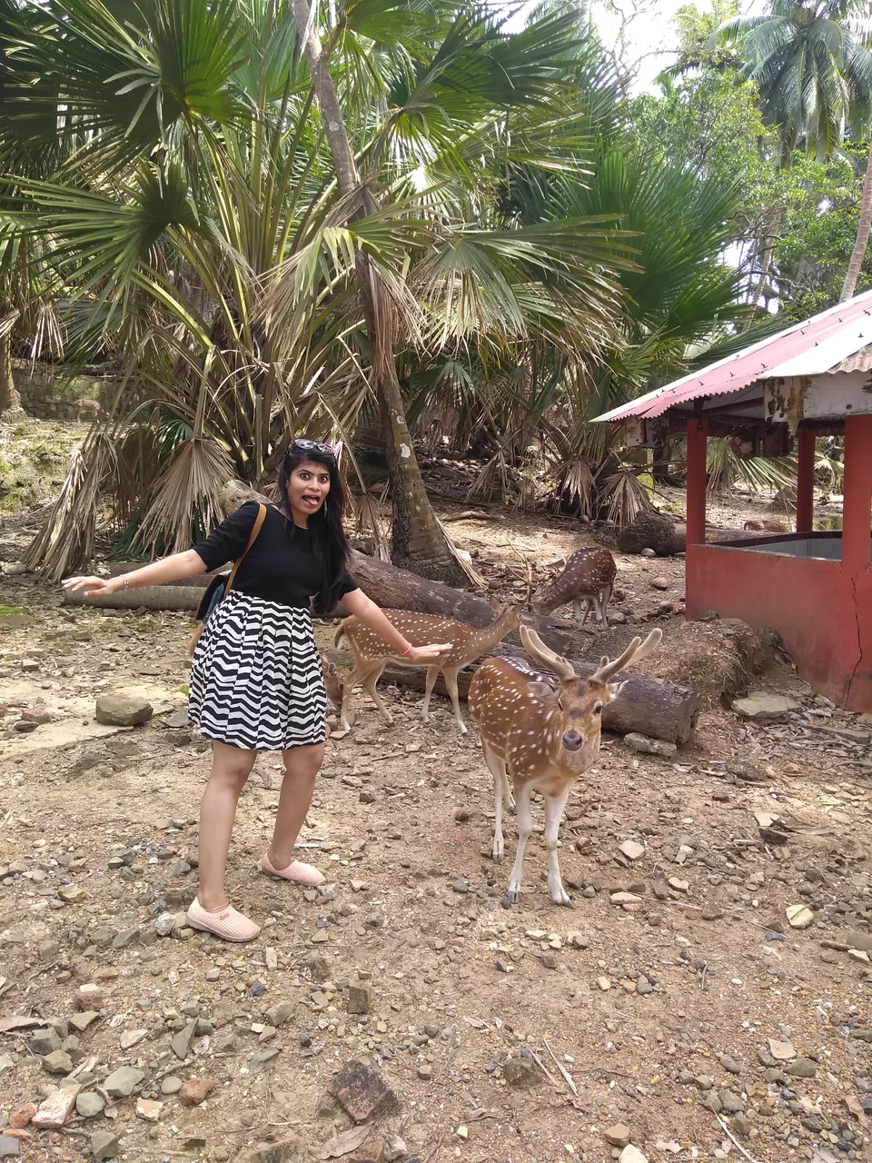 Photo of Ross Island by Vaibhavi Haria