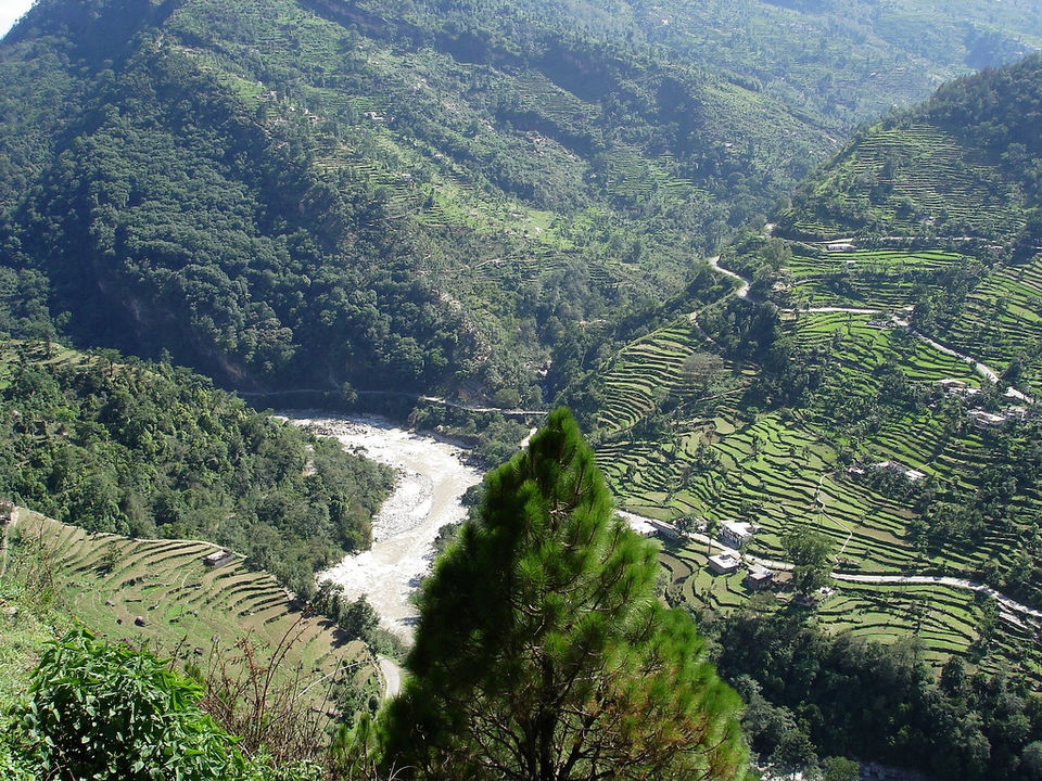 Photo of Getaway to the hills: Chopta by Archana Permi