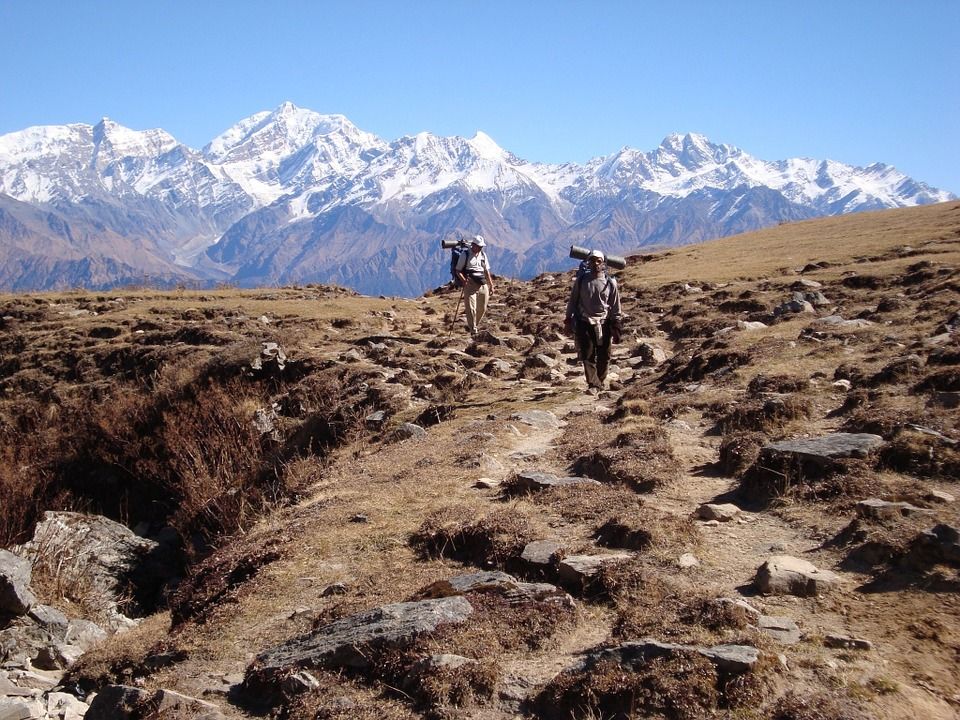 Photo of Getaway to the hills: Chopta 3/3 by Archana Permi