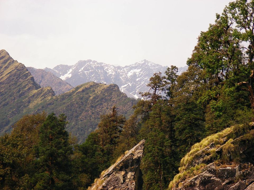 Photo of Getaway to the hills: Chopta 1/3 by Archana Permi