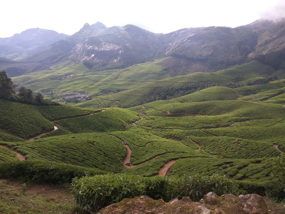Photo of The Neelakurinji Fever @ Munnar by Khevna Bhatt Shah