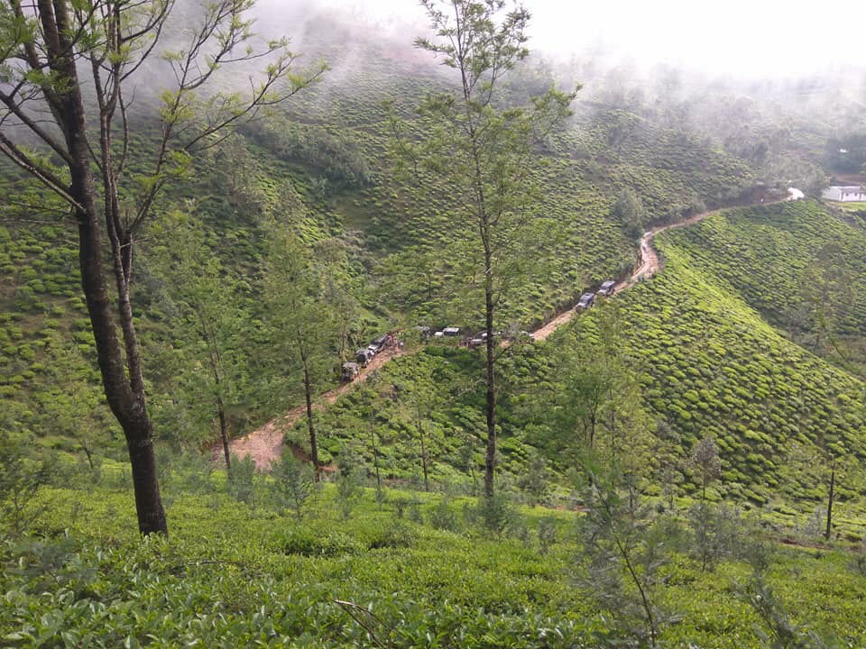 Photo of The Neelakurinji Fever @ Munnar by Khevna Bhatt Shah