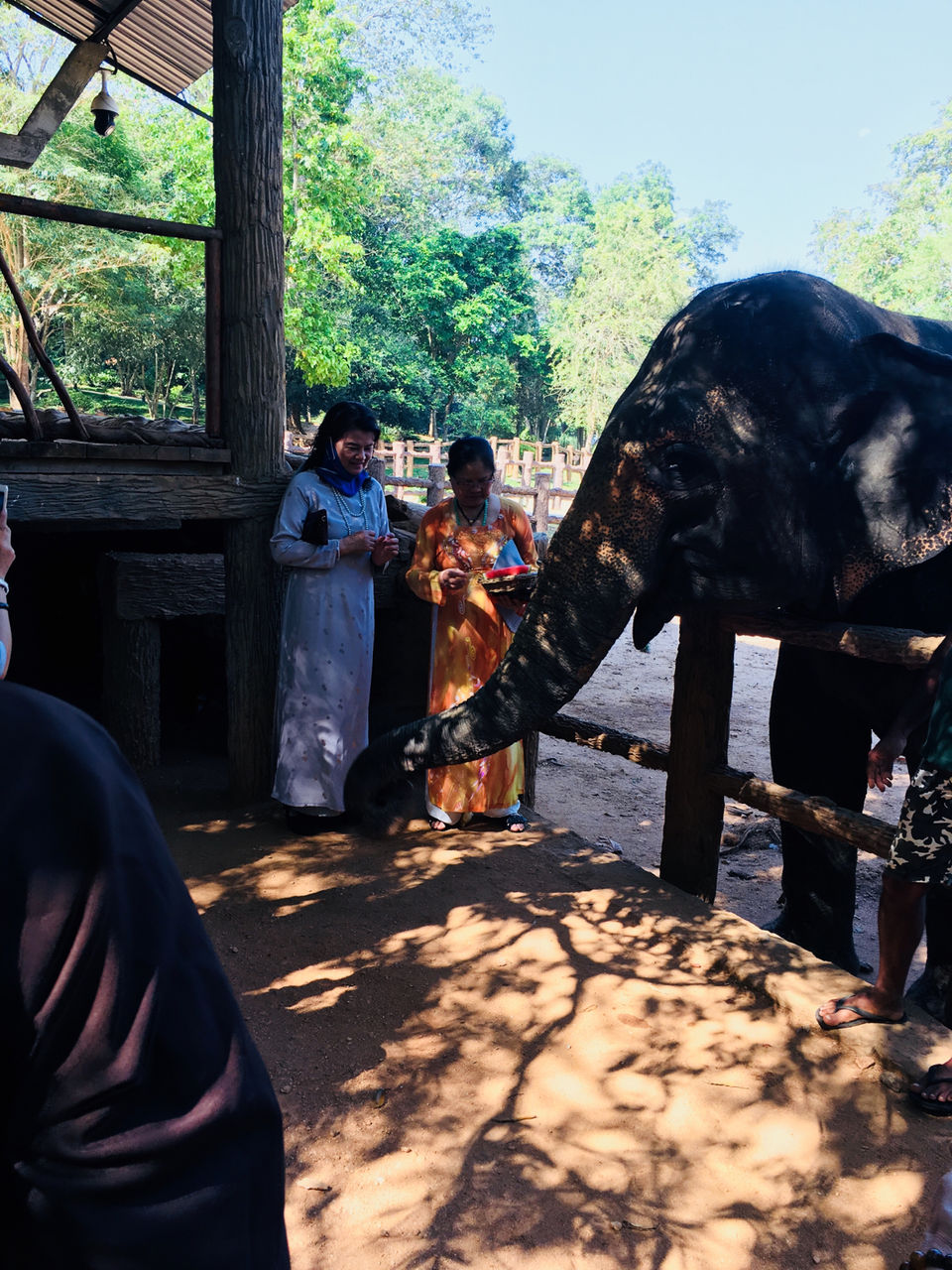 Photo of Pinnawala Elephant Orphanage, B199, Rambukkana, Sri Lanka by Khevna Bhatt Shah