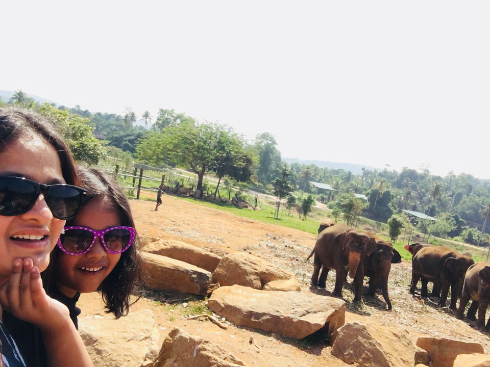Photo of Pinnawala Elephant Orphanage, B199, Rambukkana, Sri Lanka by Khevna Bhatt Shah