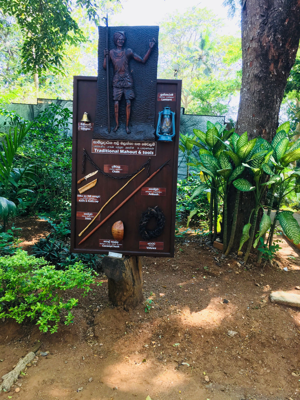 Photo of Pinnawala Elephant Orphanage, B199, Rambukkana, Sri Lanka by Khevna Bhatt Shah