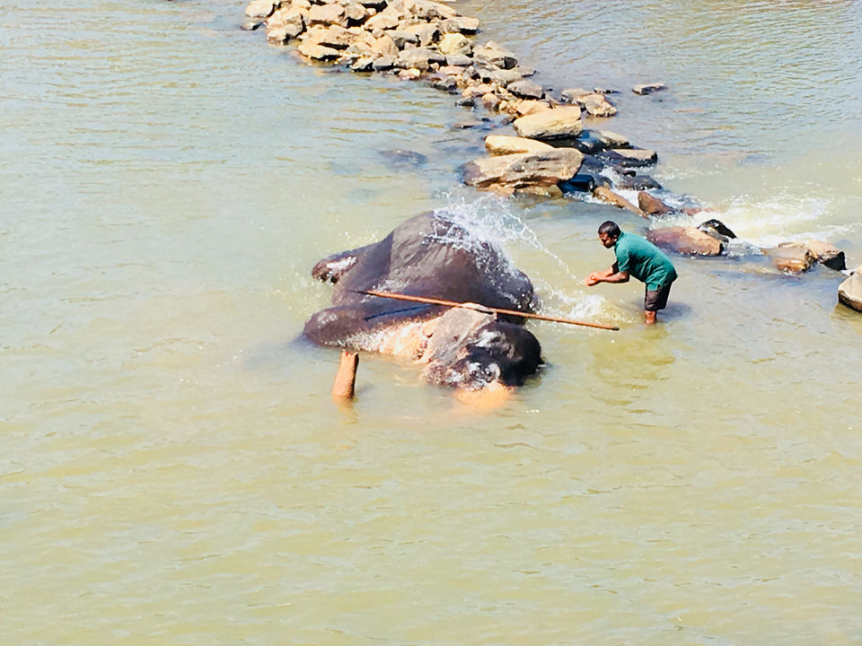 Photo of Srilanka: Serene? Soulful? Sun Baths? ALL! by Khevna Bhatt Shah