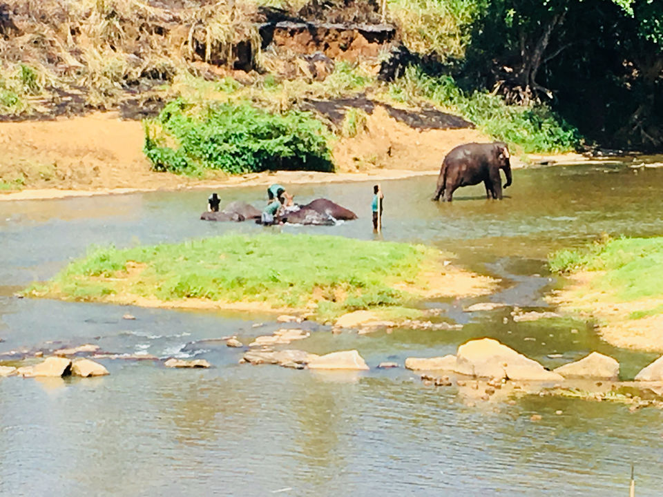 Photo of Srilanka: Serene? Soulful? Sun Baths? ALL! by Khevna Bhatt Shah