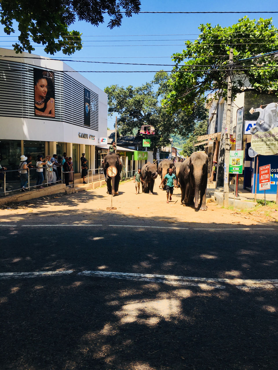 Photo of Srilanka: Serene? Soulful? Sun Baths? ALL! by Khevna Bhatt Shah