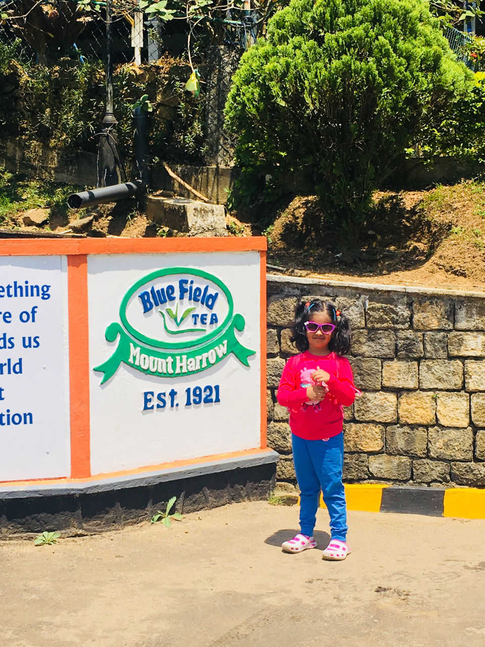 Photo of Blue Field Tea Factory, Ramboda, Nuwara Eliya, Sri Lanka by Khevna Bhatt Shah