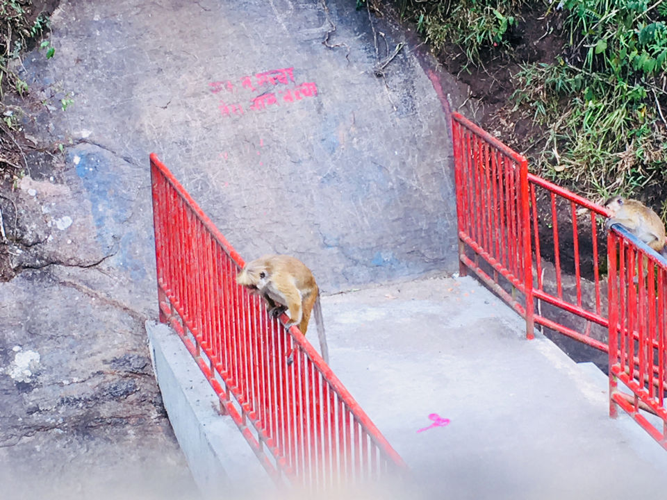 Photo of Srilanka: Serene? Soulful? Sun Baths? ALL! by Khevna Bhatt Shah