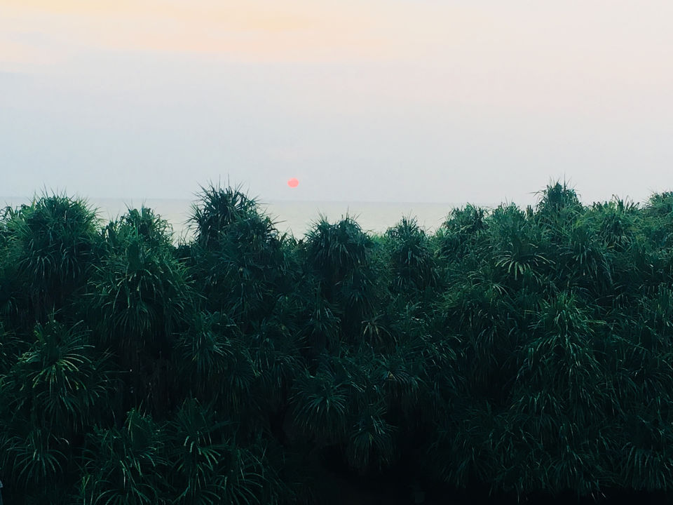 Photo of The Habitat by Asia Leisure, Kosgoda, Sri Lanka by Khevna Bhatt Shah