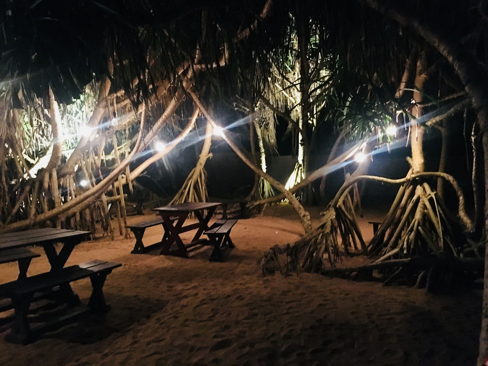Photo of The Habitat by Asia Leisure, Kosgoda, Sri Lanka by Khevna Bhatt Shah