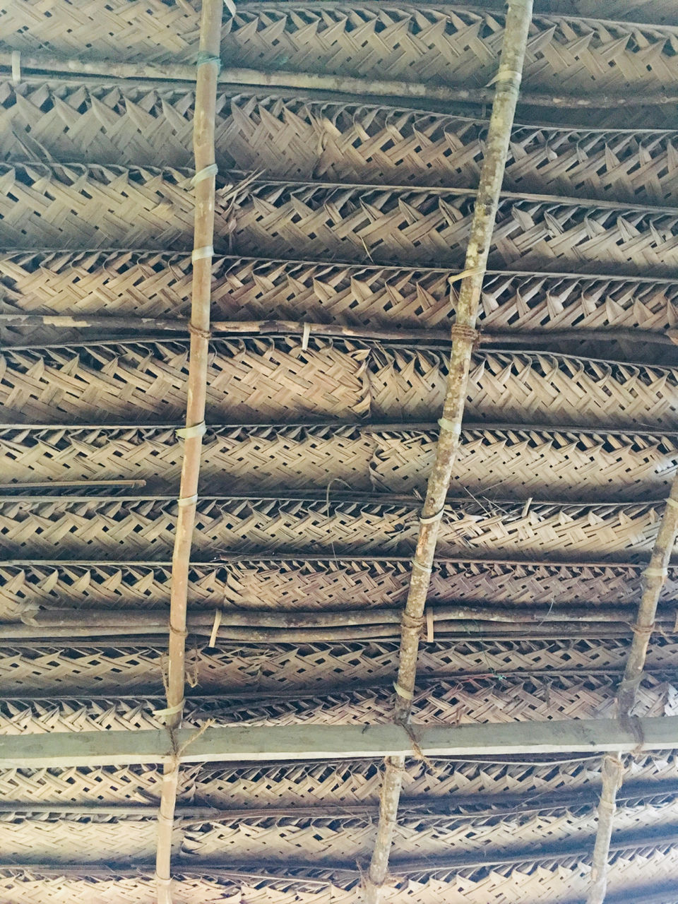 Photo of Balapitiya, Sri Lanka by Khevna Bhatt Shah